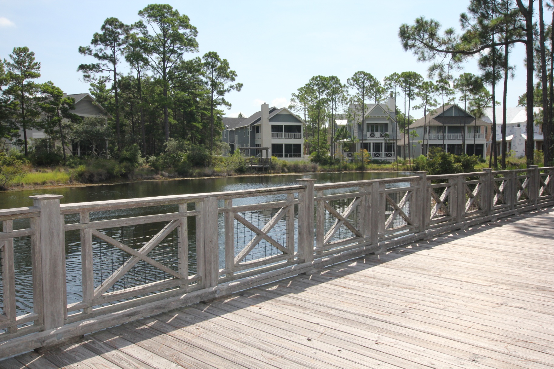 Serene Pond Views from the Back Porch