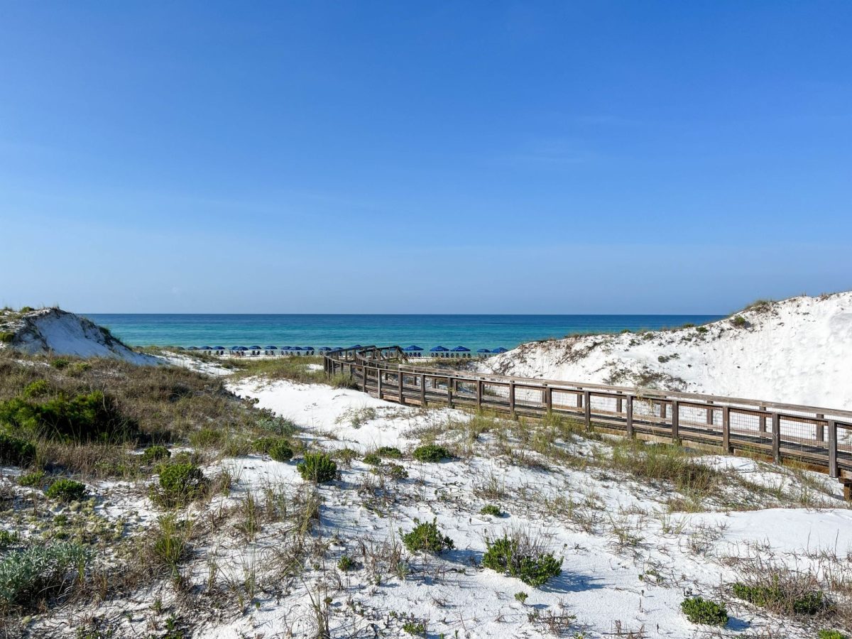 Boardwalk to Watersound Beach