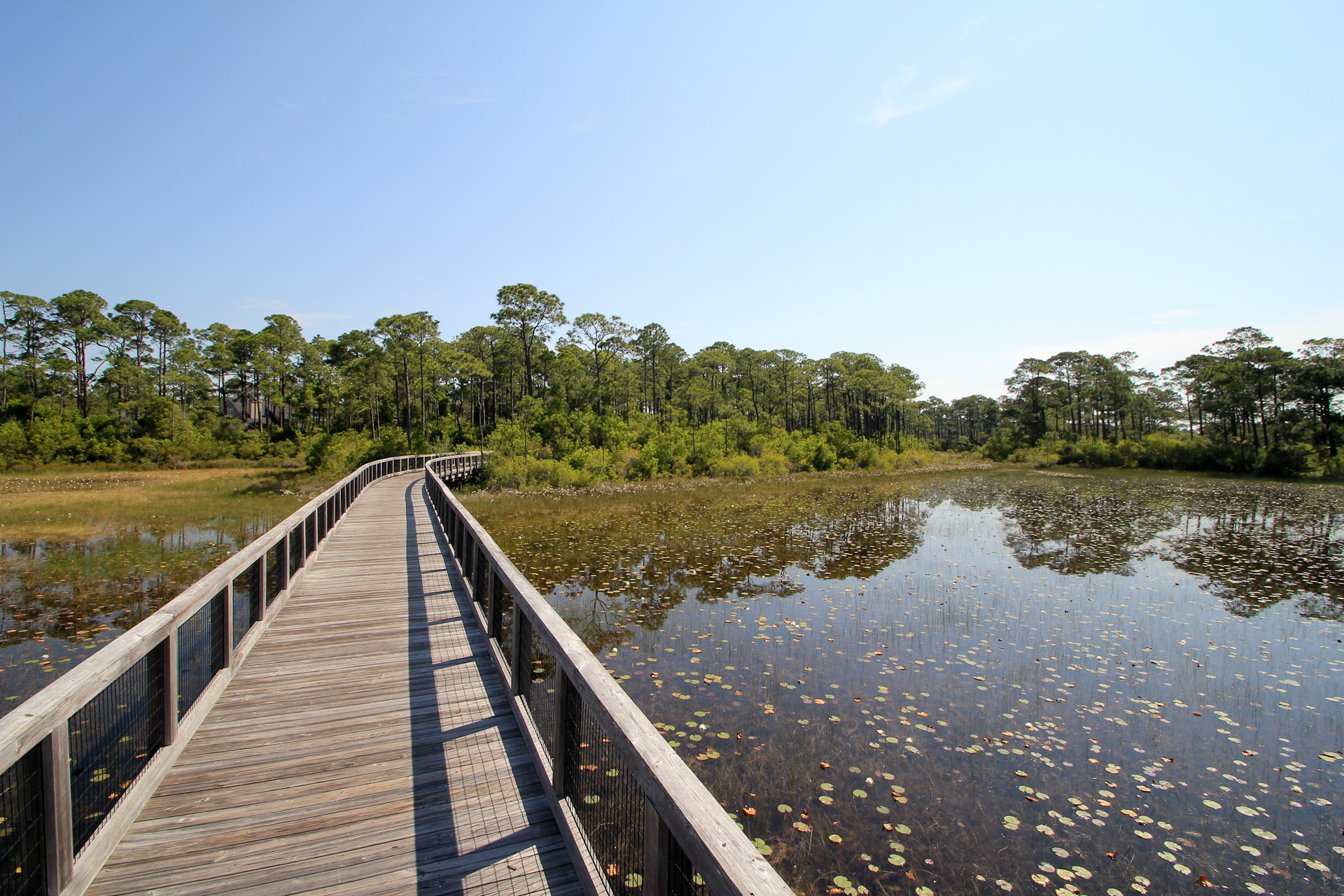 Scenic Boardwalk to the Beach Over a Lily Pad Pond
