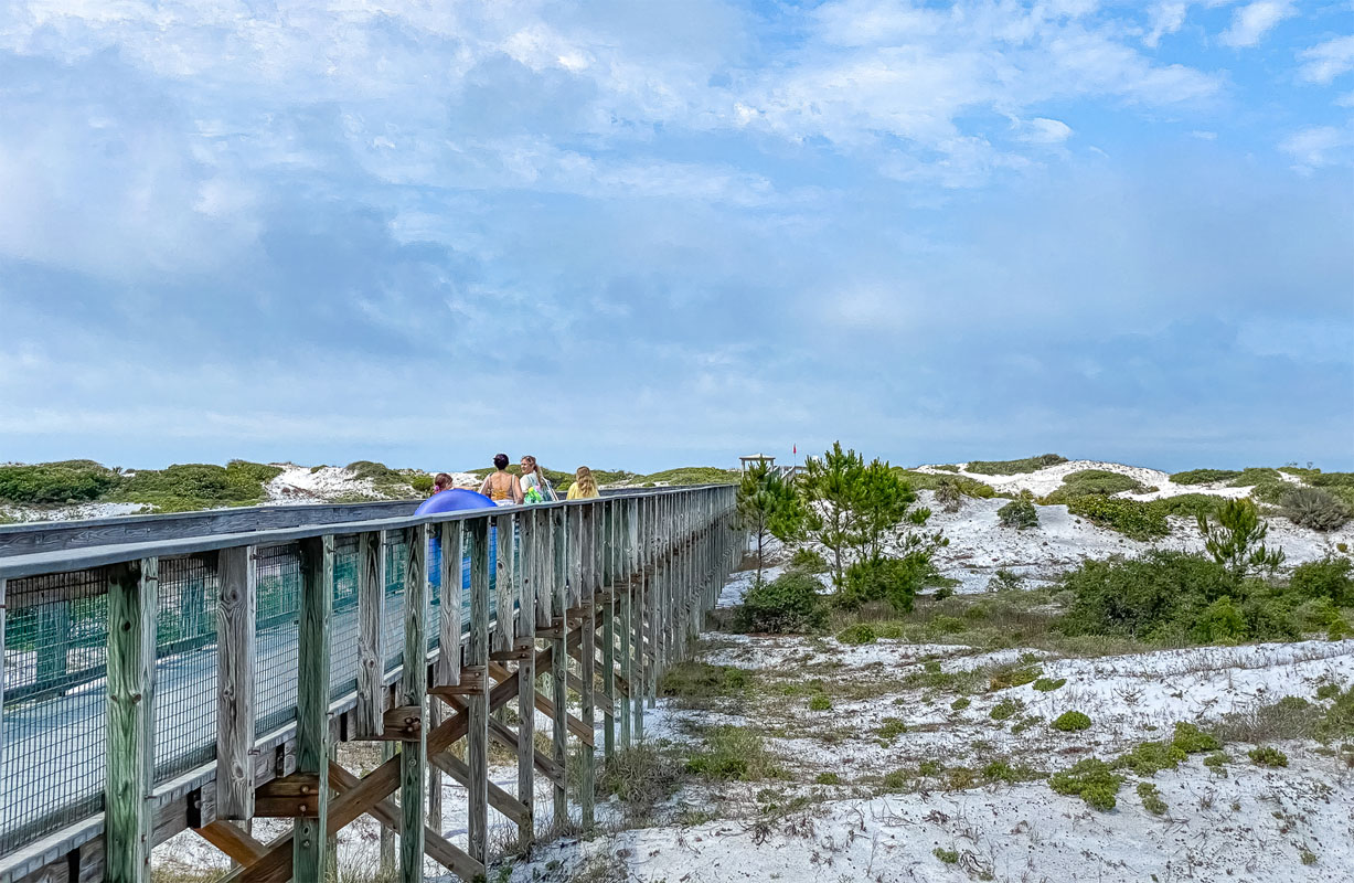 Coastal dune nature boardwalk